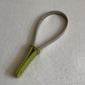 Green and Silver Dog Brush